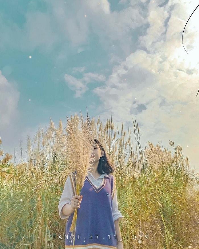 Bãi cỏ lau hot hit ở Hà Nội bị thiêu rụi, team mê ảnh ngơ ngác, gục ngã-5