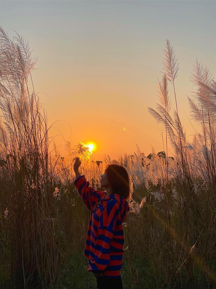 Bãi cỏ lau hot hit ở Hà Nội bị thiêu rụi, team mê ảnh ngơ ngác, gục ngã-6