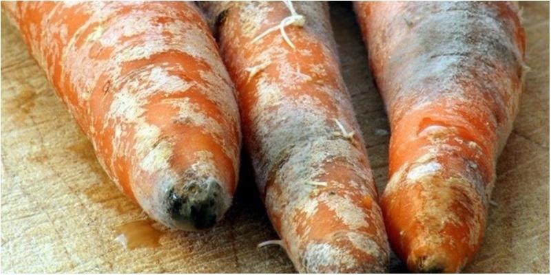 4 loại rau củ rẻ như bèo nhưng đừng dại mà mua-1