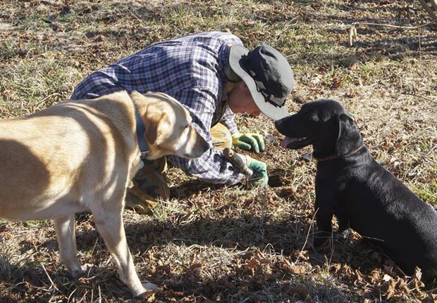 Lý do khiến nấm truffle siêu đắt đỏ, chỉ dành cho giới thượng lưu-2