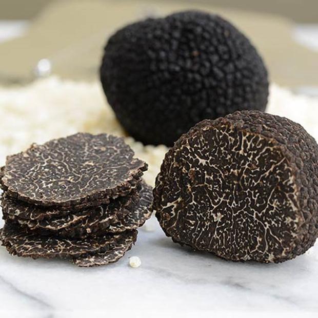 Lý do khiến nấm truffle siêu đắt đỏ, chỉ dành cho giới thượng lưu-3