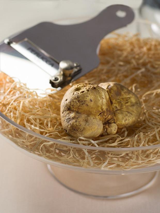 Lý do khiến nấm truffle siêu đắt đỏ, chỉ dành cho giới thượng lưu-4