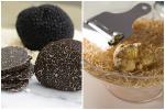 Lý do khiến nấm truffle siêu đắt đỏ, chỉ dành cho giới thượng lưu