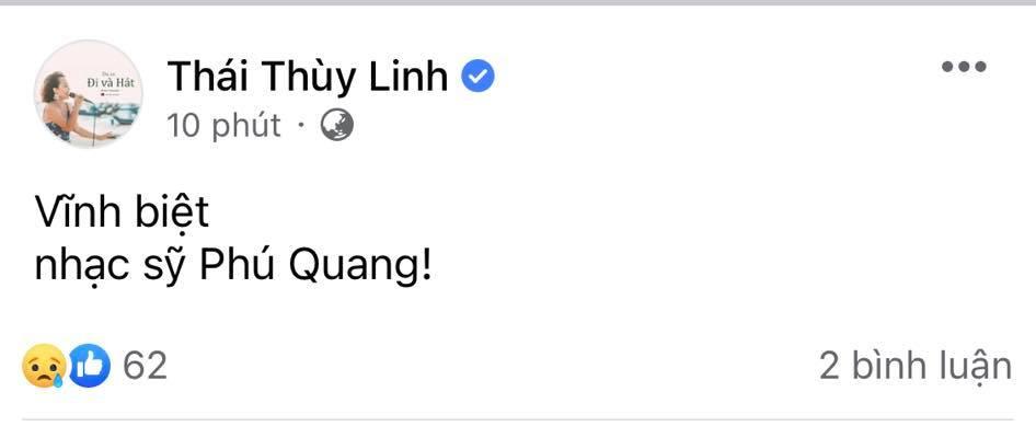 Facebook sao Việt phủ kín ảnh Phú Quang ngày buồn-7