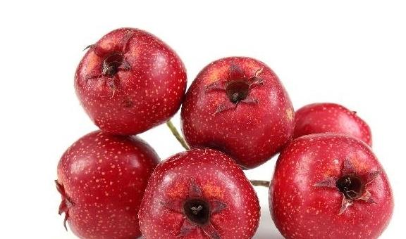 3 thực phẩm detox tử cung, đào thải chất độc-3