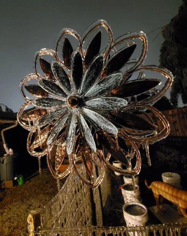 Khoảnh khắc kỳ diệu siêu hiếm gặp về thế giới quanh ta-4