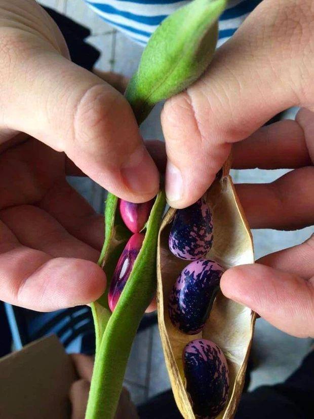 Khoảnh khắc kỳ diệu siêu hiếm gặp về thế giới quanh ta-5