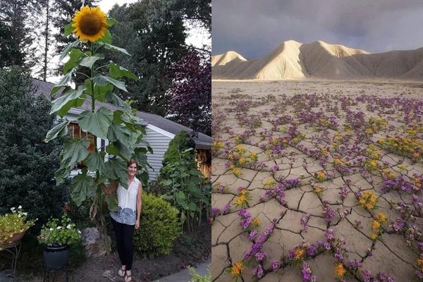 Vạch trần sự thật về cuộc sống của những gia đình đông anh chị em-15