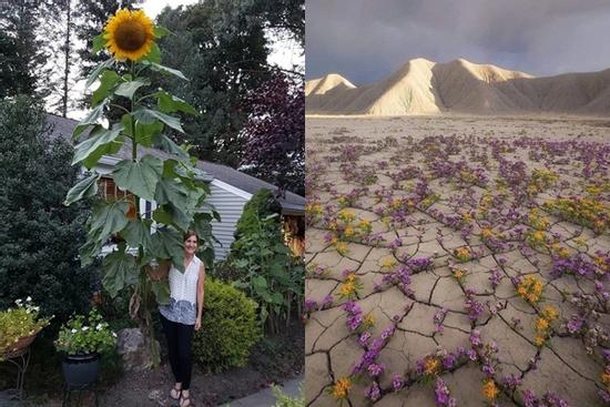 Khoảnh khắc kỳ diệu siêu hiếm gặp về thế giới quanh ta