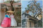 Cây hồng trăm tuổi ở Ninh Bình hốt bạc, dân tranh giành khách-10