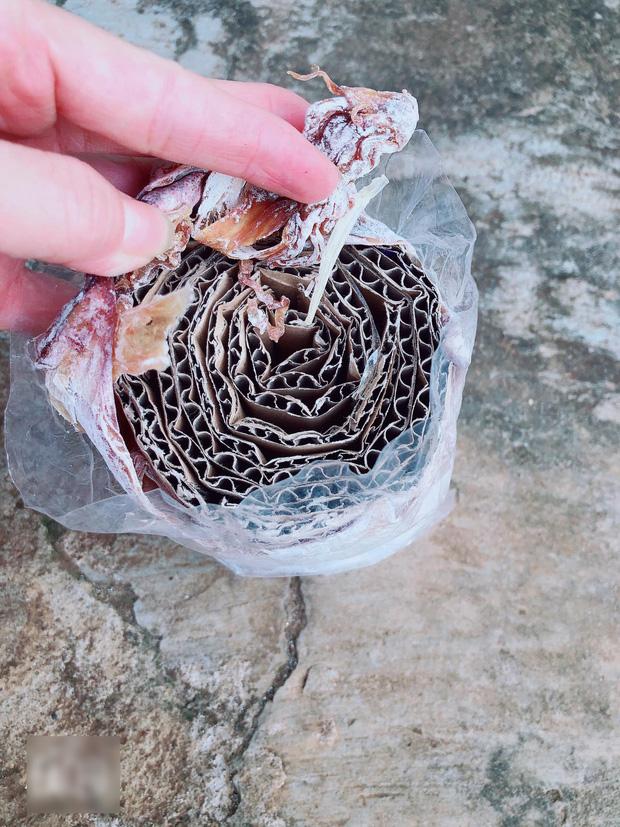 Mua bịch mực khô 190k, cô nàng tím mặt phát hiện thứ bên trong-3