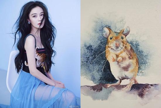 Tử vi hàng ngày 12 con giáp thứ Sáu 10/12/2021: Tý nhức đầu vì yêu