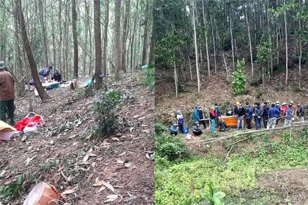 Nghệ An: Phát hiện thi thể người đàn ông bốc mùi ở rừng keo-1