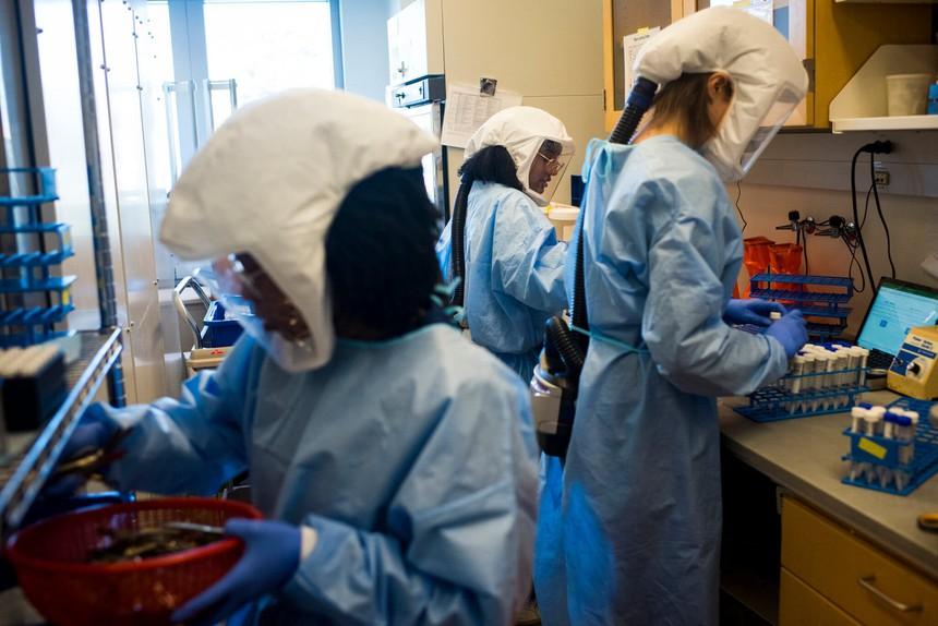 Giờ là lúc chuẩn bị cho sự xuất hiện của biến chủng mới-2