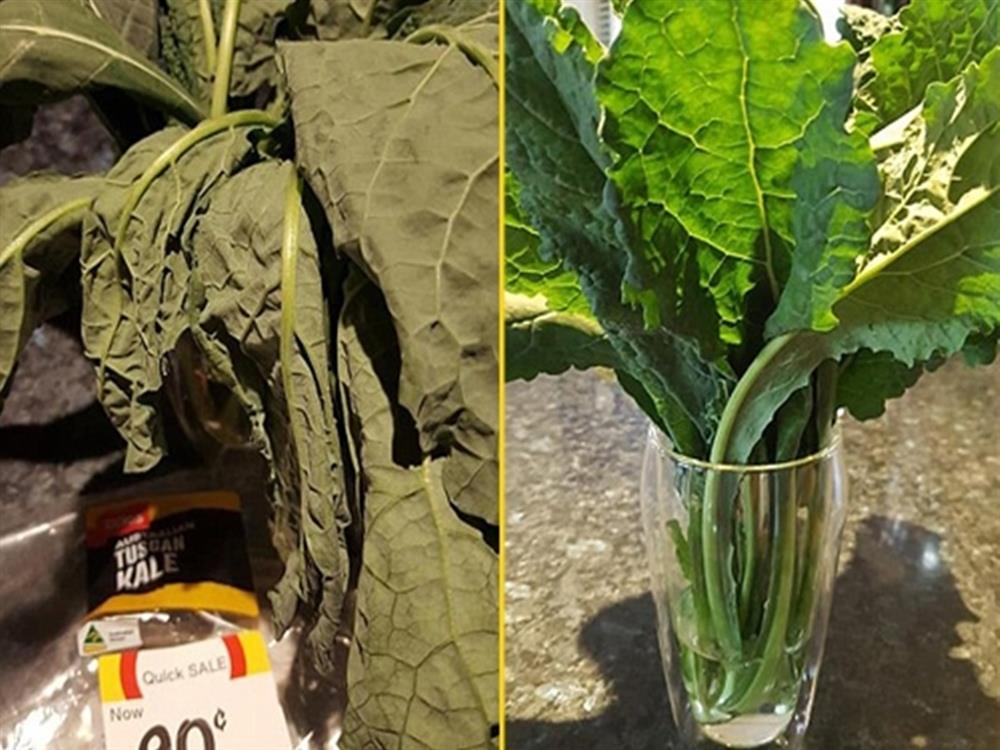 Mẹo cực hay hồi sinh rau héo thành rau tươi trong nửa nốt nhạc-2