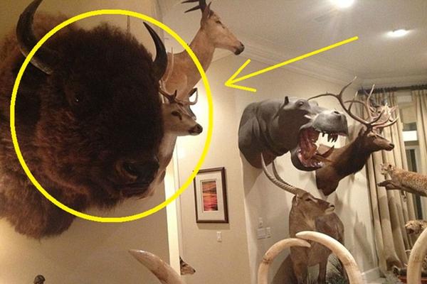 Trong nhà xuất hiện 3 điềm lành: Hỷ tín gõ cửa tiền bạc ào ào chạy tới-3