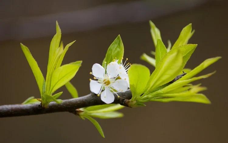 Sáng ra mở cửa thấy nhà có 4 dấu hiệu này là đại cát-2