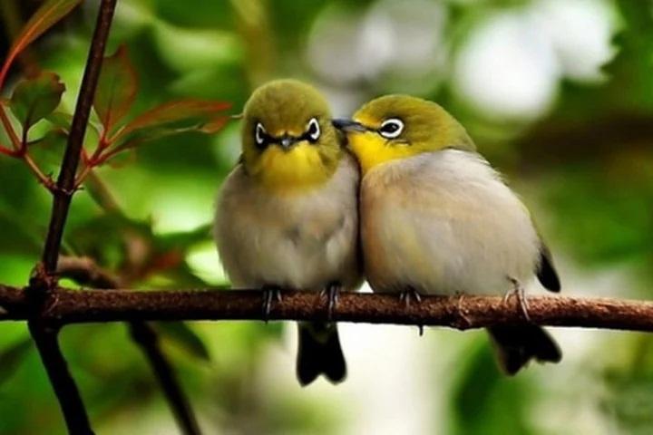 Sáng ra mở cửa thấy nhà có 4 dấu hiệu này là đại cát-4