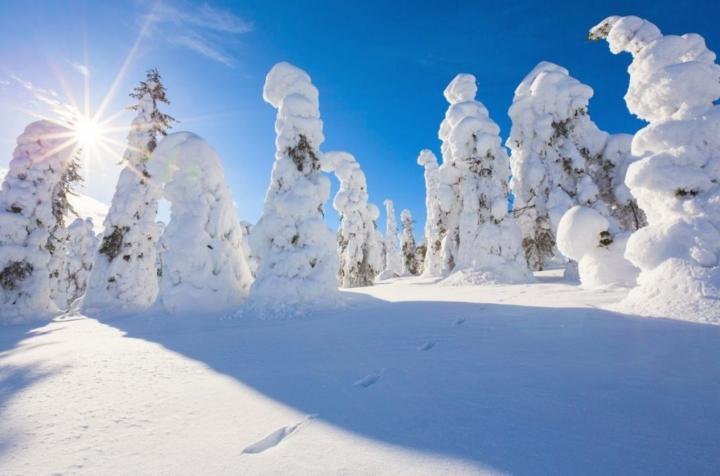 Khu rừng tuyết đẹp mê hồn, như thế giới của Nữ hoàng băng giá-1