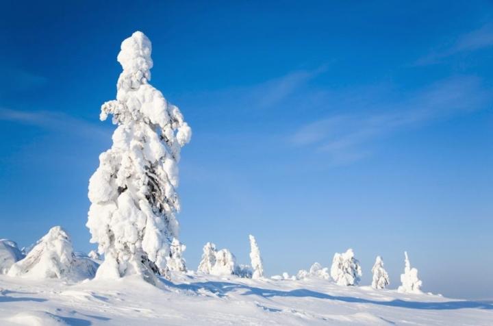 Khu rừng tuyết đẹp mê hồn, như thế giới của Nữ hoàng băng giá-2