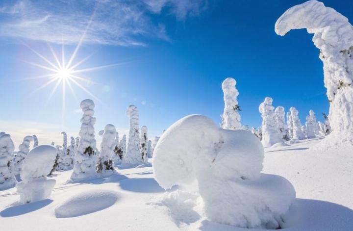 Khu rừng tuyết đẹp mê hồn, như thế giới của Nữ hoàng băng giá-4