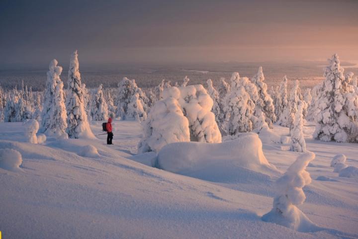 Khu rừng tuyết đẹp mê hồn, như thế giới của Nữ hoàng băng giá-8