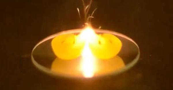 Lò vi sóng sẽ trở thành bom hẹn giờ nếu cho những thứ này vào!-2