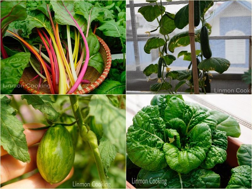 Vườn rau chống dịch chỉ 20m2 mà xanh mướt, không thiếu thứ gì-4
