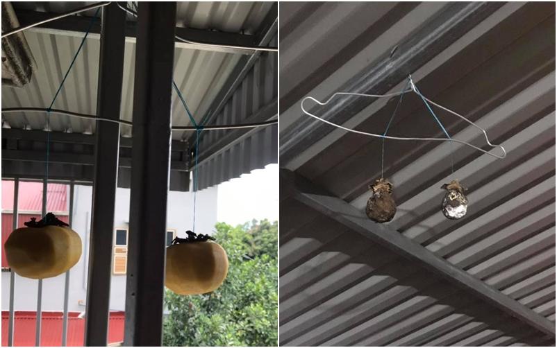 Halloween đã qua sao nhiều người vẫn tạo ra món ăn như địa ngục-5