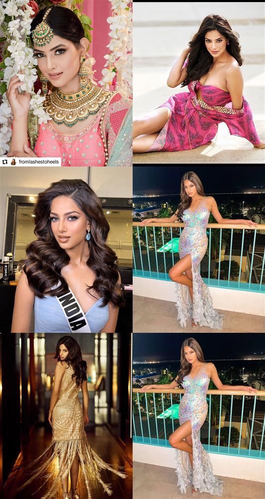 Quá khứ bị miệt thị ngoại hình của Hoa hậu Hoàn vũ 2021-2