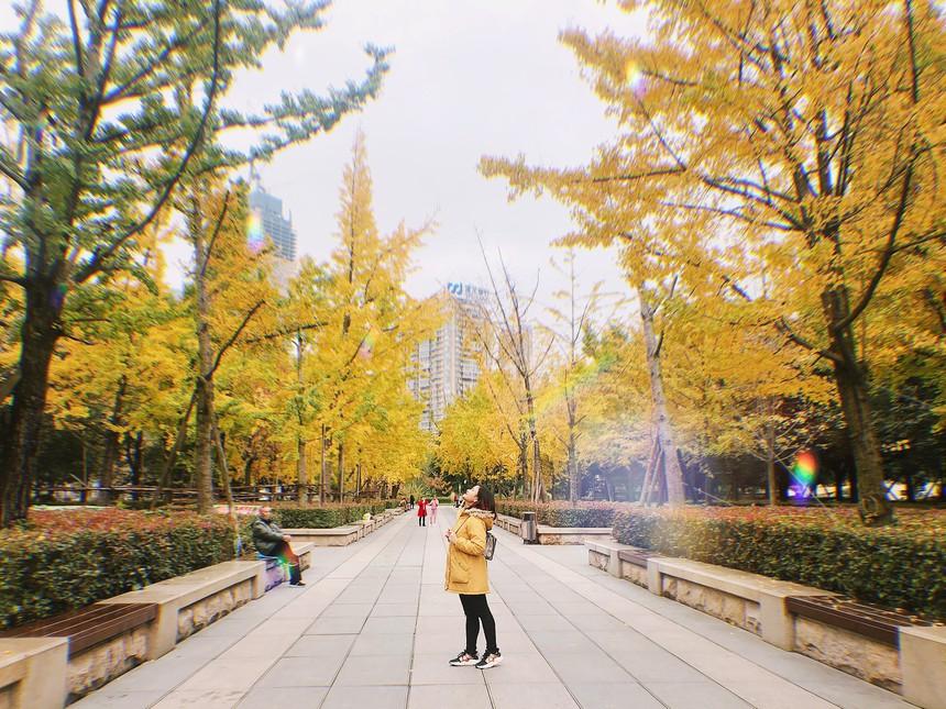 Du học sinh bán hàng online khi kẹt ở Việt Nam, chờ trở lại Trung Quốc-1