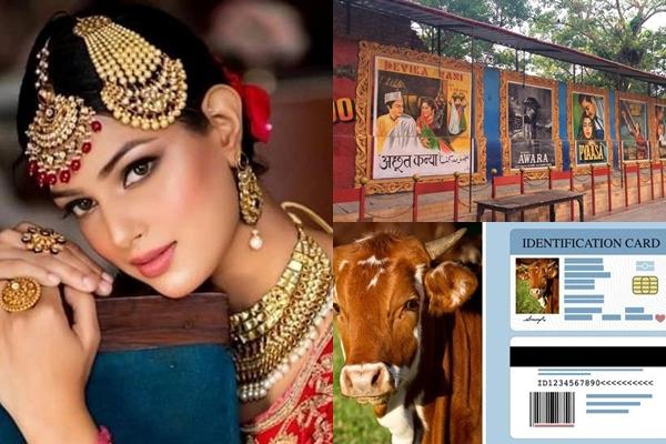 Quán bar im lặng ở Ấn Độ-5