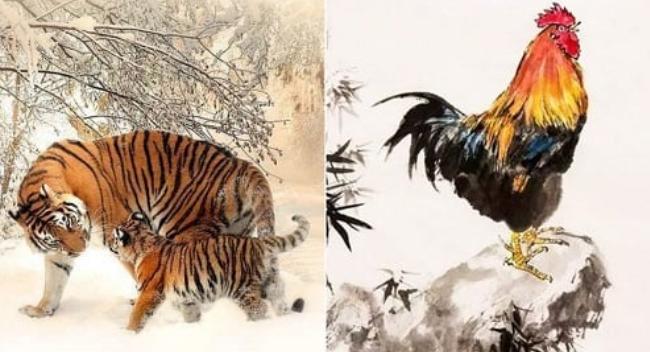 Tử vi hàng ngày 12 con giáp thứ Sáu 17/12/2021: Dậu yêu quá vô tình-5