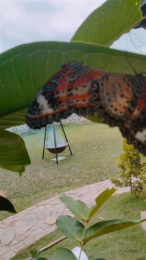 Lộ biệt thự nhà vườn của Trường Giang - Nhã Phương?-3