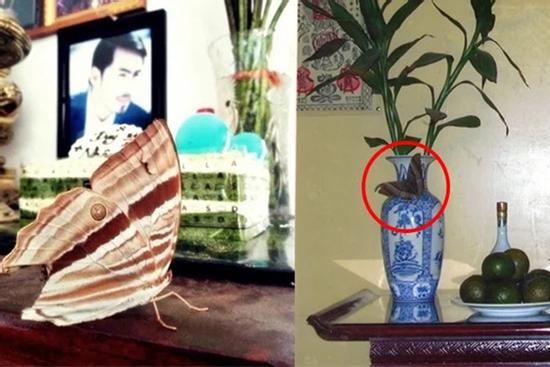 2 dấu hiệu trên bàn thờ được ăn lộc tổ tiên, 3 dấu hiệu tán tài mất của