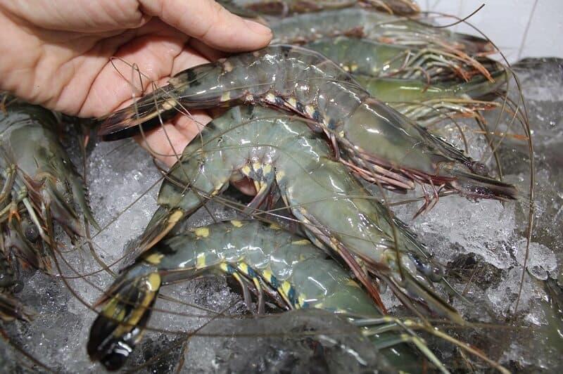 Luộc tôm thêm 2 thứ này đảm bảo hết tanh, thịt ngon hết sảy-1