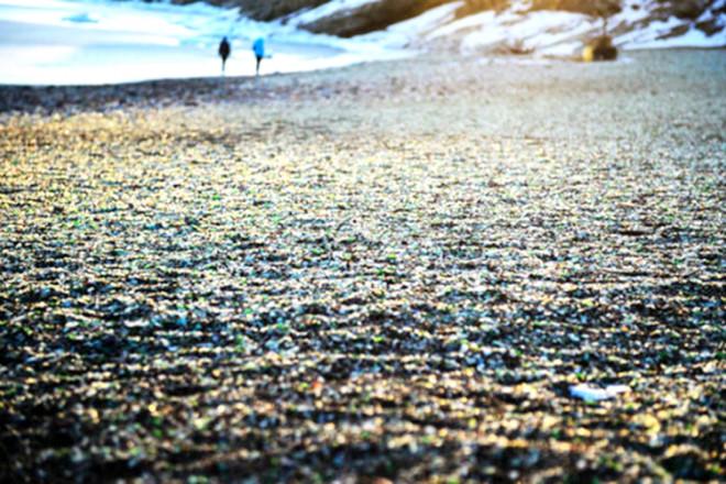 Bãi biển độc đáo lấp lánh hàng triệu viên đá thủy tinh ở vịnh Ussuri-4