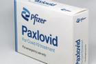 Hy vọng mới về thuốc chữa Covid-19 của Pfizer