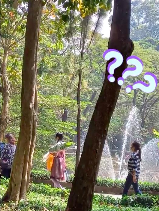 Đi Thảo Cầm Viên, cô gái bức xúc khi nhiều bạn trẻ cực kỳ vô ý thức-3