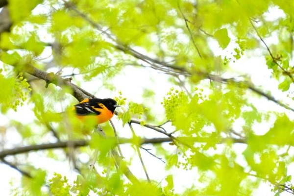 3 lưu ý khi chọn người xông nhà đầu năm Nhâm Dần 2022-3