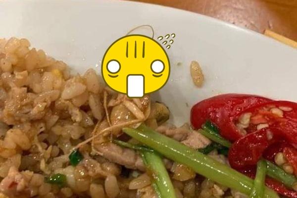 Ăn bát ốc luộc, cô gái khóc thét: Quán vỉa hè mà giá trên trời!-7