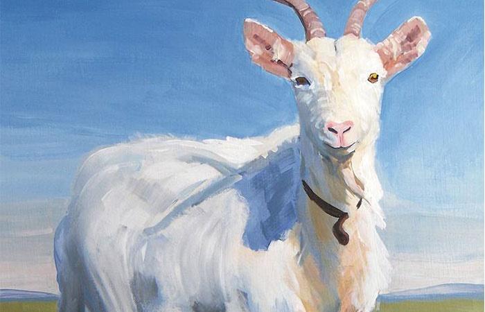 Tử vi hàng ngày 12 con giáp Chủ nhật 19/12/2021: Mùi cẩn trọng bị lừa-3