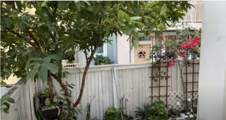 Hé lộ cơ ngơi của cố ca sĩ Phi Nhung tại Mỹ-2