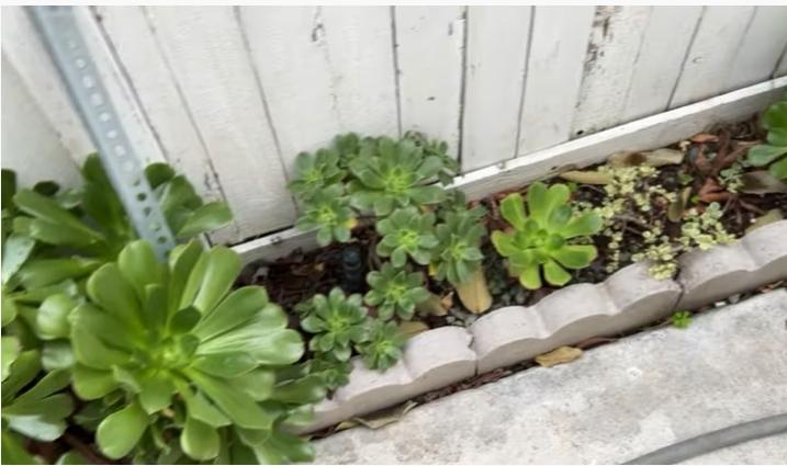 Hé lộ cơ ngơi của cố ca sĩ Phi Nhung tại Mỹ-5