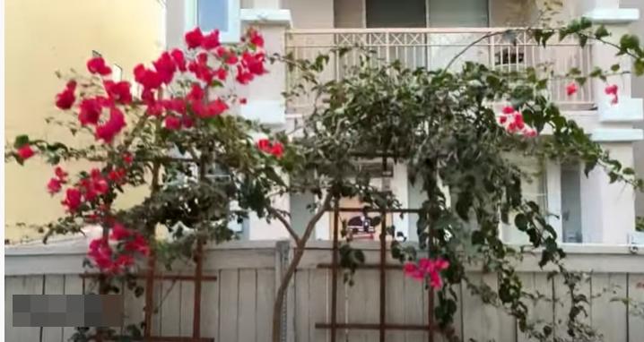 Hé lộ cơ ngơi của cố ca sĩ Phi Nhung tại Mỹ-7