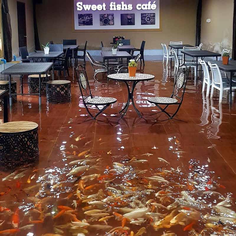 Quán cà phê đặc biệt khiến cộng đồng quốc tế hết lời khen ngợi-4