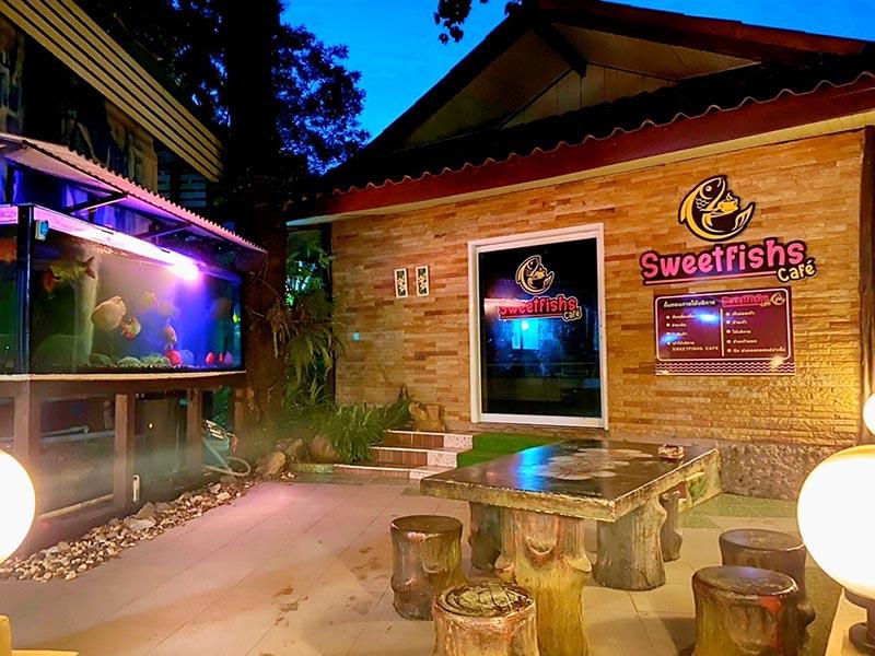 Quán cà phê đặc biệt khiến cộng đồng quốc tế hết lời khen ngợi-5