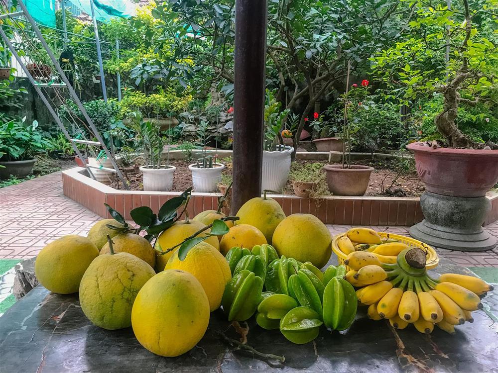 Mê mẩn khu vườn rau củ quả hái không kịp ngơi tay giữa thủ đô-3