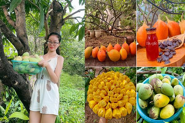 Mảnh vườn gì cũng có của mẹ Nhật, nhìn là thích đến ngẩn ngơ-10