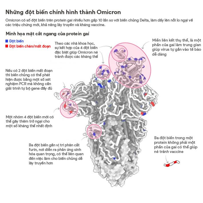 Triệu chứng ở người nhiễm Omicron và hiệu quả của mũi vaccine thứ ba-3